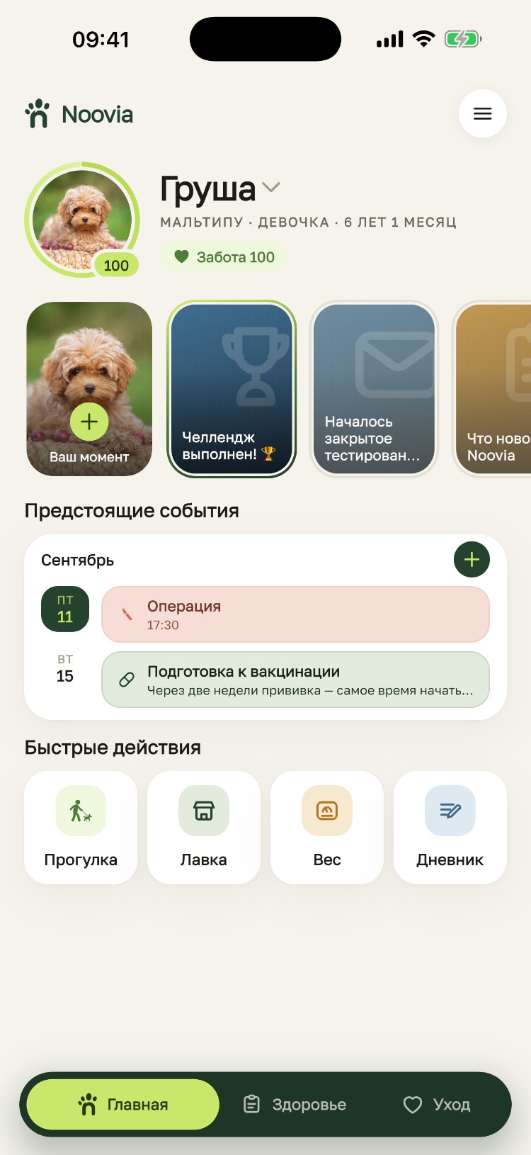 Главный экран Noovia: Груша, забота 100, предстоящие операция и подготовка к вакцинации, быстрые действия